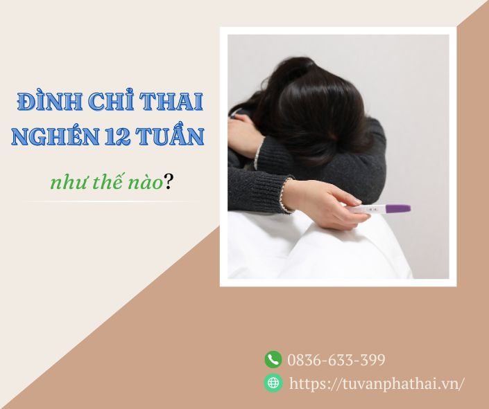 dinh-chi-thai-nghen-12-tuan-nhu-the-nao