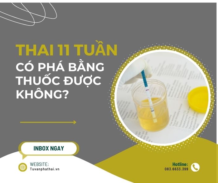 thai-11-tuan-co-pha-bang-thuoc-duoc-khong
